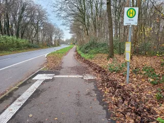 Austiegshaltestelle mitten im Wald