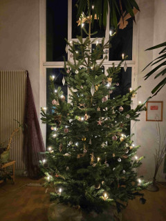 Weihnachtsbaum_2024.jpg