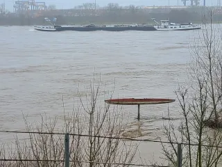 14:30 Rheinpegel MLCD-Stammsitz (Kanu am Spieß))