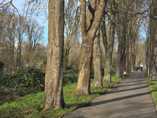 Fußweg zur Rückfahrt