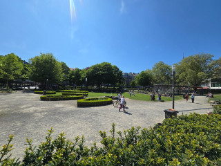 20250429_144608.jpg