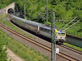 20250512_154242.jpg