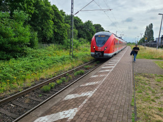 20250627_094942.jpg