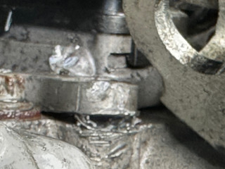 IMG_4023.jpeg