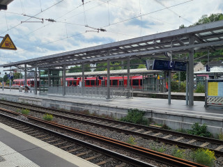20250827_132614.jpg