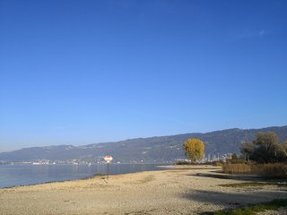 Bodensee von Bregenz aus