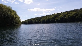 20200713_151052.jpg