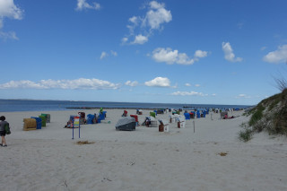 DSC09337.JPG