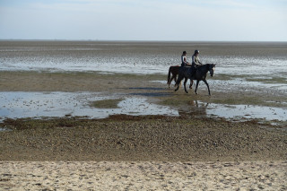 DSC09317.JPG